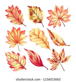 Vektorgrafik von handgezeichneten Herbstblättern Sammlung im Cartoon-Stil einzeln auf weißem Hintergrund.