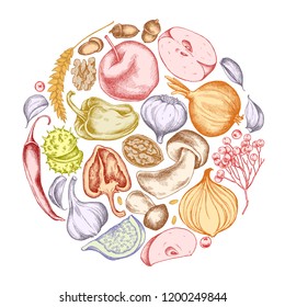 Vector collection of hand drawn autumn vegetables round shape