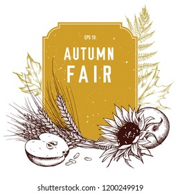 Vector collection of hand drawn autumn vegetables