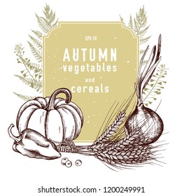 Vector collection of hand drawn autumn vegetables