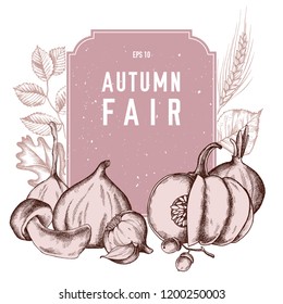 Vector collection of hand drawn autumn vegetables