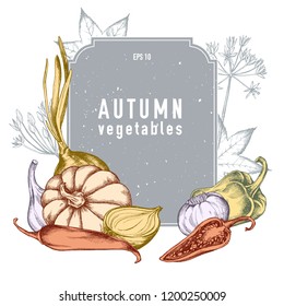 Vector collection of hand drawn autumn vegetables