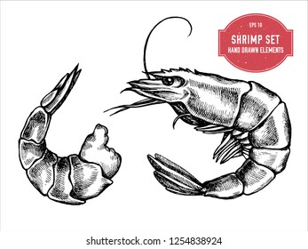 Vector collection of hand drawn black and white shrimp