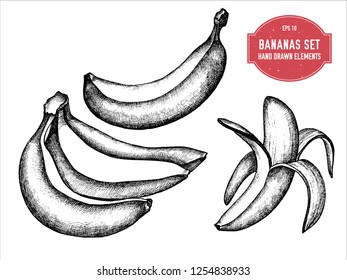 Vector collection of hand drawn black and white bananas