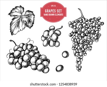 Colección de vectores de uvas blancas y negras dibujadas a mano