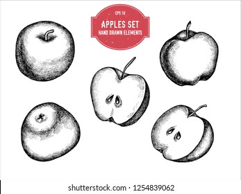 Vector collection of hand drawn black and white apples