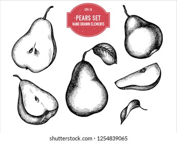 Vector collection of hand drawn black and white pears