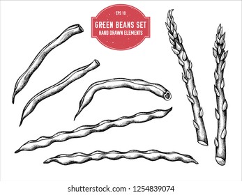 Vector collection of hand drawn black and white green beans