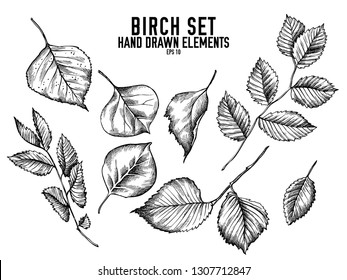 Vector collection of hand drawn black and white birch