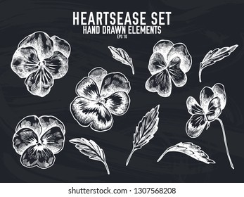 Vector collection of hand drawn chalk heartsease