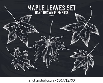 Vector collection of hand drawn chalk maple leaves