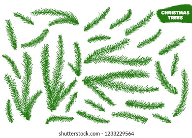 Vector collection of hand drawn christmas tree branches.