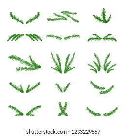 Vector collection of hand drawn christmas tree branches.