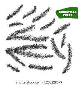 Vector collection of hand drawn christmas tree branch.