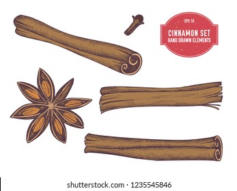 Vector collection of hand drawn colored  cinnamon
