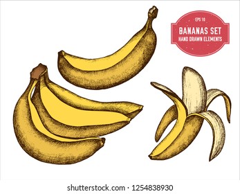 Vector collection of hand drawn colored  bananas