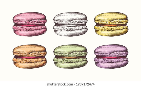 Vector collection of hand drawn colorful cake macaroons. French pastry macaron. Highly detailed collection dessert, macaroon, sweets, menu design, restaurants, shop