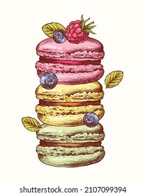 Vector collection of hand drawn colorful cake macaroons. French pastry macaron. Blueberry, raspberry, mint. Highly detailed collection dessert, macaroon, sweets, menu design, restaurants, shop