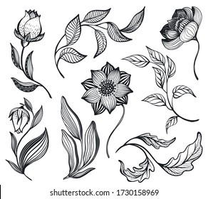 Colección vectorial de flores y hojas de doodle dibujadas a mano. Conjunto floral romántico y elegante