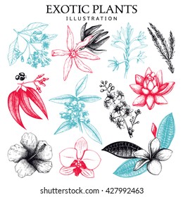 Colección vectorial de boceto de plantas exóticas dibujadas a mano. Elementos de diseño natural. Flores tropicales, hojas e ilustración de árboles aislados en blanco. 