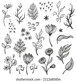 Colección vectorial de elementos florales dibujados a mano