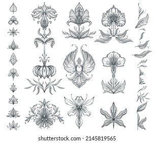 Vector collection of hand drawn floral elements, flowers and leaves. Black and white set of fansy flowers