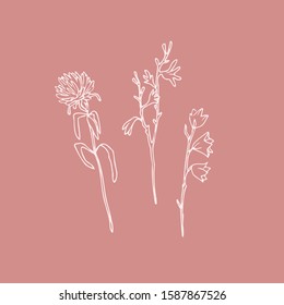 Vector collection of hand drawn flowers sketch isolated on white. Decorative set with elegant flowers for greeting card or invitation, logo design and branding