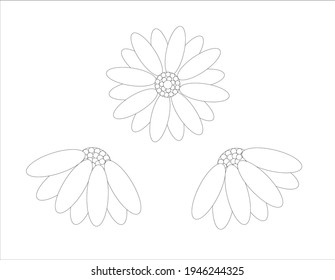 Vector Collection of Hand Drawn Flowers