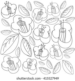 Vector Collection of Hand Drawn Flowers