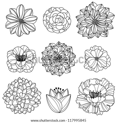 Vector Collection of Hand Drawn Flowers