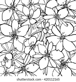 Vector Collection of Hand Drawn Flowers.Flowers abstract  background. Picture for coloring book. Decorative floral background with flowers. Doodle pattern. Vector illustration