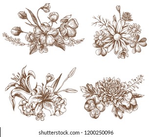 Vector collection of hand drawn heartseases, asters, primulas,