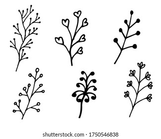 Vector collection of hand drawn herbs and wildflowers. Romantic summer floral set. Hand drawn vector floral elements. Branches and leaves. Herbs and plants collection. Vintage botanical illustrations.