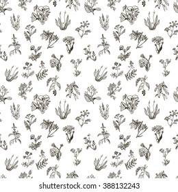 Vector collection of hand drawn medicinal herbs. Botanical plant illustration. Vintage  sketch set. Seamless background.