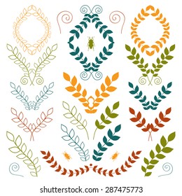 Vector collection of hand drawn natural design elements and floral graphic objects isolated on white