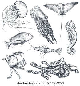 Vector collection of hand drawn ocean and sea animals in sketch style isolated on white. Monochrome graphic set