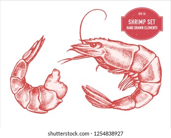 Vector collection of hand drawn pastel shrimp