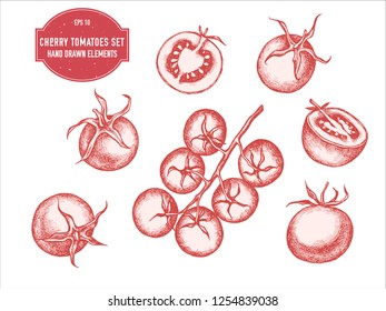 Vector collection of hand drawn pastel cherry tomatoes