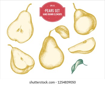 Vector collection of hand drawn pastel pears