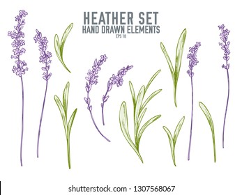 Vector collection of hand drawn pastel heather