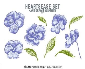Vector collection of hand drawn pastel heartsease