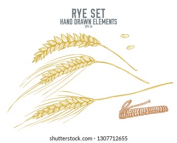Vector collection of hand drawn pastel rye