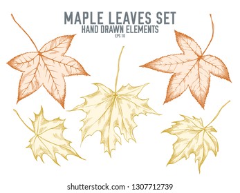 Vector collection of hand drawn pastel maple leaves