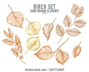 Vector collection of hand drawn pastel birch