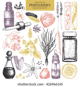 Vector collection of hand drawn perfumes and cosmetics sketch. Vintage set of aromatic plants for high-quality scented industry