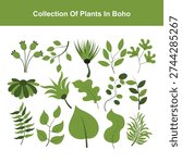 Vector collection of hand drawn plants in boho style
