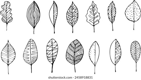 Vector colección de plantas dibujadas a mano. Conjunto botánico de bosquejo de flores y ramas.