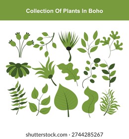 Vector collection of hand drawn plants in boho style