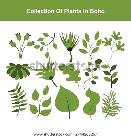 Vector collection of hand drawn plants in boho style