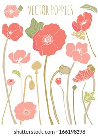 Vector Collection of Hand Drawn Poppy Flowers, Leaves, and Stems